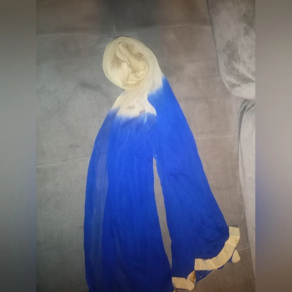 Blue and Gold Trim Ombré Scarf/Dupatta